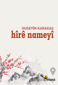 Hire Nameyi
