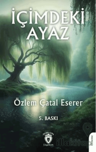 İçimizdeki Ayaz