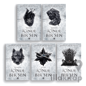 İçinde Bir Sen (5 Kitap Takım)