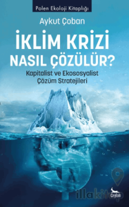 İklim Krizi Nasıl Çözülür? Kapitalist ve Ekososyalist Çözüm Stratejileri