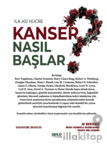 İlk Asi Hücre Kanser Nasıl Başlar?