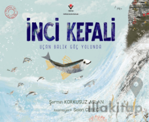İnci Kefali