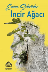 İncir Ağacı