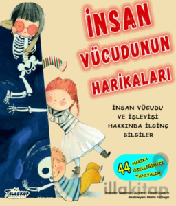 İnsan Vücudunun Harikaları