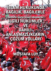 İslam Hukukunda Bağilik, Bağilerle İlgili Hükümler ve Dahili Anlaşmazlıkların Çözüm Yolları