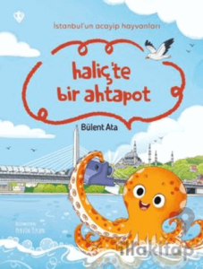 İstanbul’un Acayip Hayvanları Haliçte Bir Ahtapot