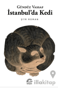 İstanbul'da Kedi