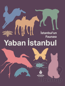 İstanbul'un Faunası Yaban İstanbul