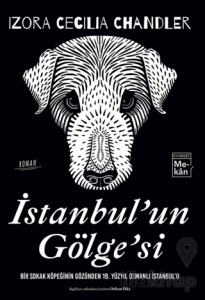 İstanbul'un Gölgesi