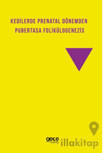 Kedilerde Prenatal Dönemden Pubertasa Folikülogenezis