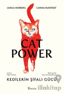 Kedilerin Şifalı Gücü
