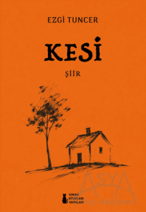 Kesi