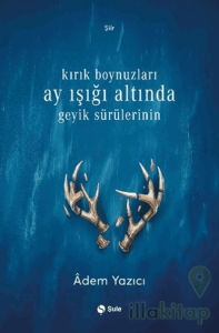 Kırık Boynuzları Ay Işığı Altında Geyik Sürülerinin