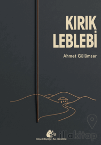 Kırık Leblebi