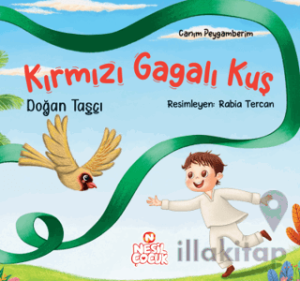 Kırmızı Gagalı Kuş