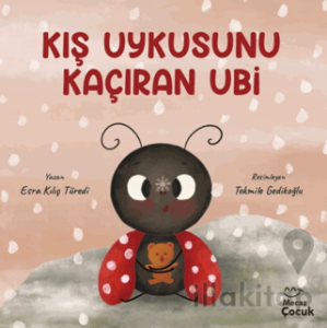 Kış Uykusunu Kaçıran Ubi