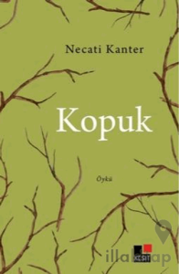Kopuk