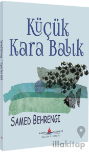 Küçük Kara Balık