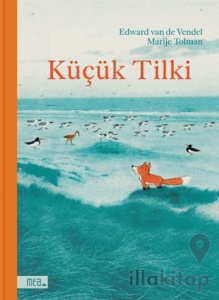 Küçük Tilki