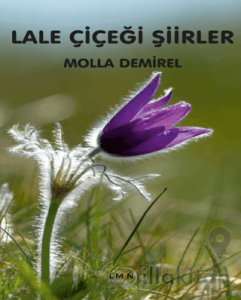 Lale Çiçeği Şiirler