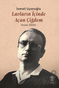 Lavların İçinde Açan Çiğdem