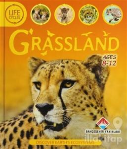 Life Cycles - Grassland (Ciltli)