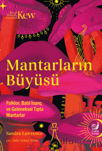 Mantarların Büyüsü