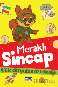 Meraklı Sincap