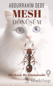 Mesh - Dönüşüm
