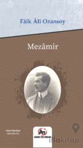 Mezamir