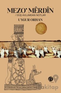 Mezo'merdin / Düş Avlumdan Notlar