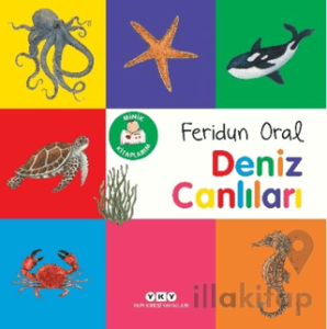 Minik Kitaplarım – Deniz Canlıları