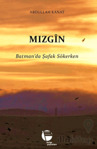 Mızgin