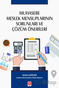 Muhasebe Meslek Mensuplarının Sorunları ve Çözüm Önerileri