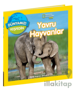 National Geographic Kids Dünyamızı Keşfedin - Yavru Hayvanlar