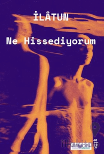 Ne Hissediyorum