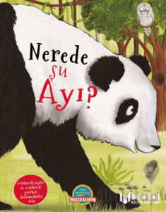 Nerede Şu Ayı?