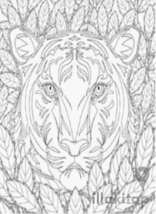 Nuh’un Gemisi Kaplan Tuval Boyama