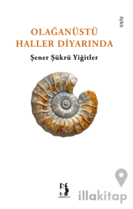 Olağanüstü Haller Diyarı
