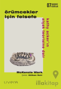 Örümcekler İçin Felsefe: Kathy Acker’ın Alçak Teorisine Dair