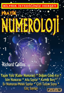 Pratik Numeroloji