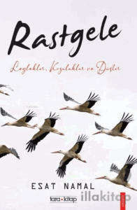 Rastgele; Leylekler, Kozalaklar ve Düşler