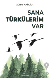 Sana Türkülerim Var