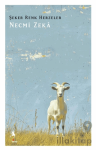 Şeker Renk Herzeler