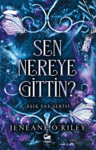 Sen Nereye Gittin?
