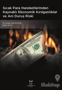 Sıcak Para Hareketlerinden Kaynaklı Ekonomik Kırılganlıklar ve Ani Duruş Riski
