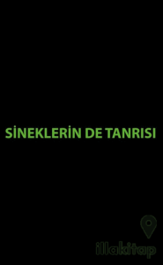 Sineklerin de Tanrısı