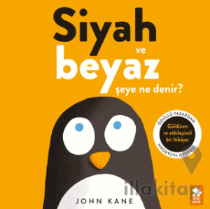 Siyah ve Beyaz Şeye Ne Denir?