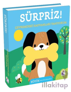 Sürpriz! – Çevremdeki Hayvanları Tanıyorum