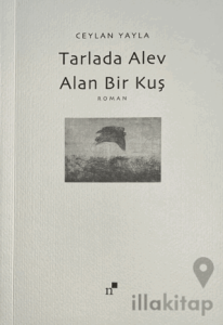 Tarlada Alev Alan Bir Kuş